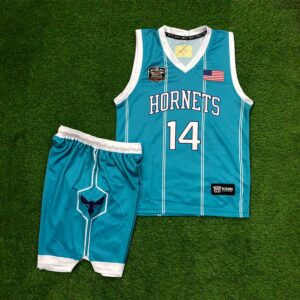 Hornet-Basketball