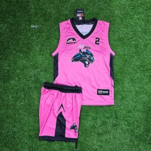 Ladyjags Basketball